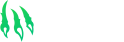 Wild.io — The Best Web3 Casino Experience So Far?