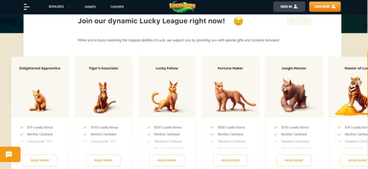 Luckytiger.com website