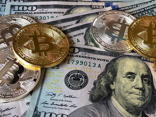 bitcoins and us dollars