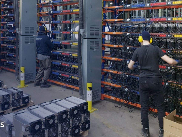 Two people work at a crypto-mining company and operate the hardware 
