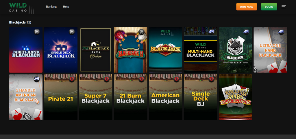 Wild casino Blackjack gambling games 
