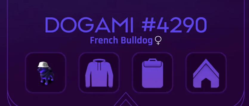 Customization in the Dogami NFT crypto game 