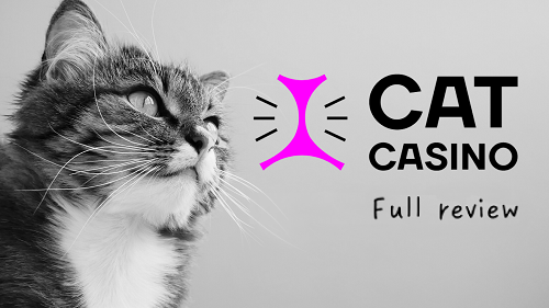 CatCasino Review